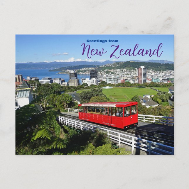 Voeux de la Nouvelle-Zélande Carte postale (Devant)