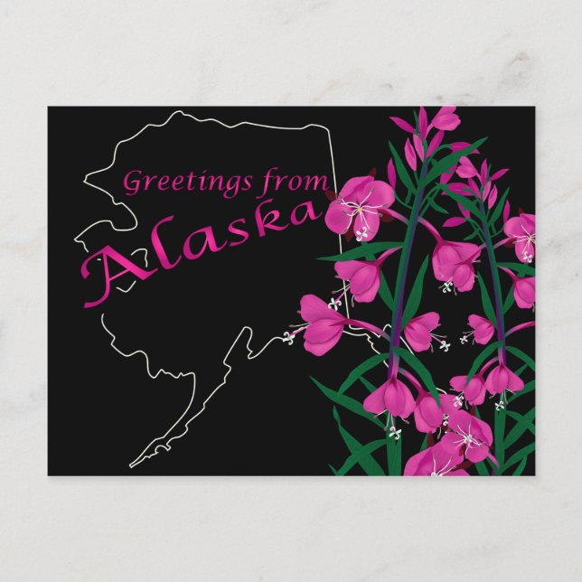 Voeux de l'Alaska carte postale (Devant)