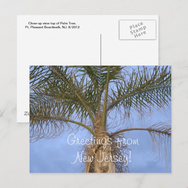 Voeux de Palm Tree de carte postale de NJ (Devant / Derrière)