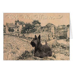 Vœux de rétablissement pour Terrier Écossais