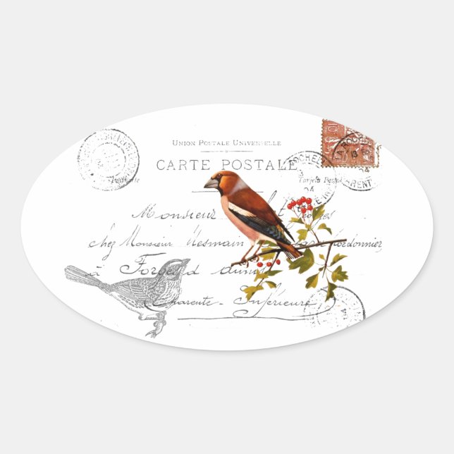Vogel motif oval sticker (Front)