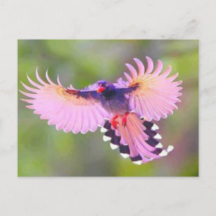 vogel postcard