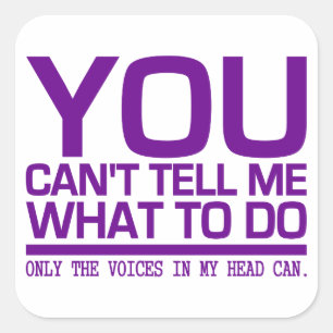 VOICES IN MY HEAD stickers