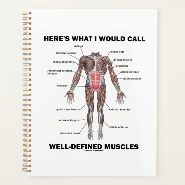 Voici ce que j'appellerais des muscles bien défini (Devant)