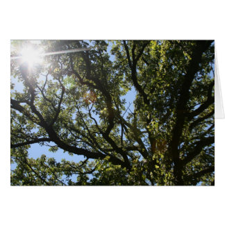 "voici le soleil" par Larry Coressel