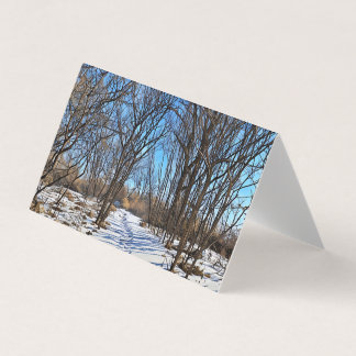 Voie d'hiver - Texte