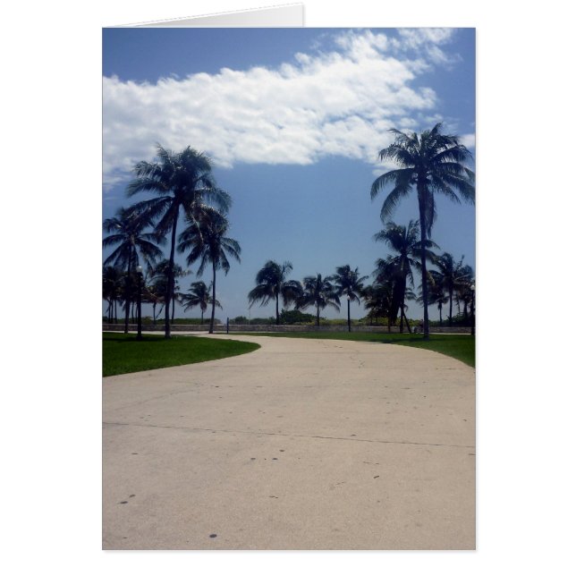 voie miami (Devant)