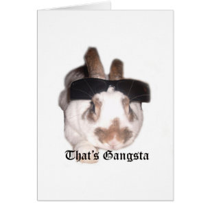Voilà Gangsta
