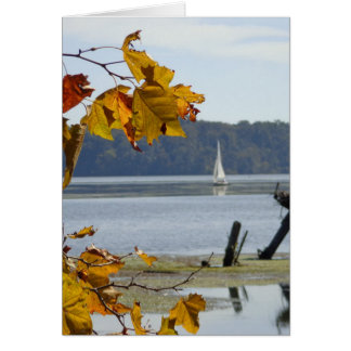 Voile automne, photo automne, carte blanche