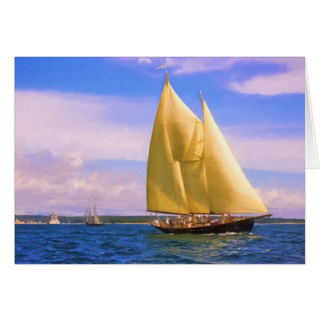 Voile Le Son (Devant horizontal)