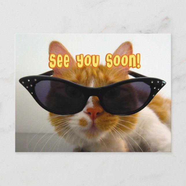 Voir bientôt - Carte postale de chat Cool (Devant)