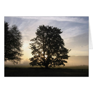 Voir la carte de les deux côtés