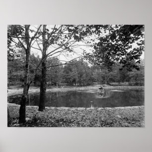 Voire PA de Scranton de parc d'août. Affiche