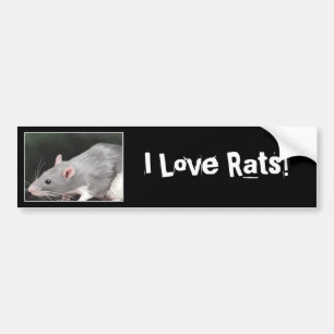 Voiture Autocollant de bumper de rat mignon