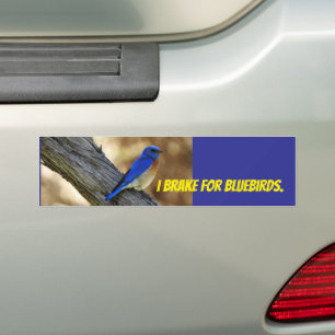 Voiture Autocollant de pare-chocs Bluebird
