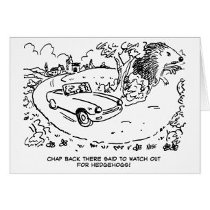 Voiture de sport en campagne avec Hérisson