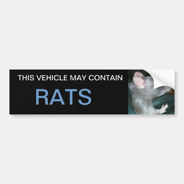 Voiture peut contenir un autocollant de pare-chocs de rats (Devant)