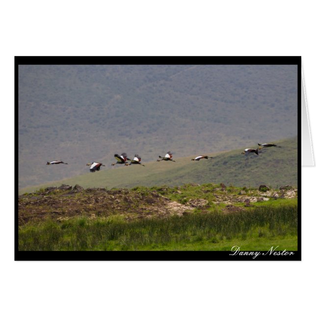 Vol (Devant horizontal)