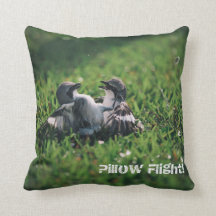 Vol de coussin !
