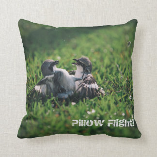 Vol de coussin !