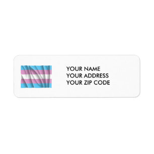 VOL DE DRAPEAU TRANSSEXUEL -.png