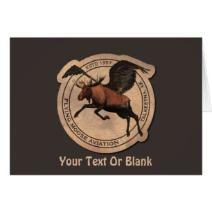 Vol de Moose Aviation