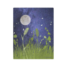 "Vol de nuit en blanc"