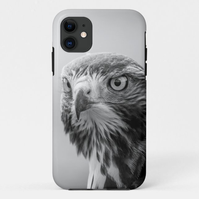 Vol majestueux : Eagle Birds iPhone 11 Coque (Dos)