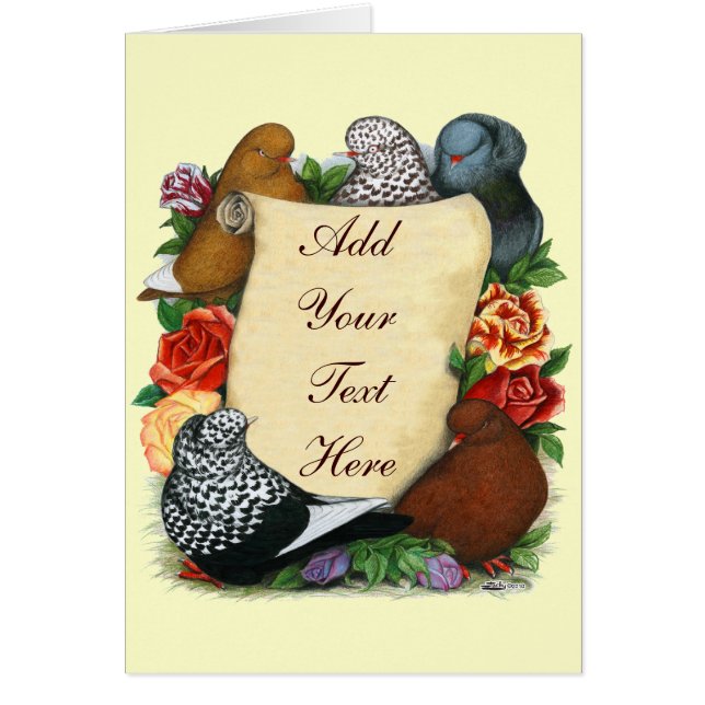 Vol Pigeon Soll (Devant)