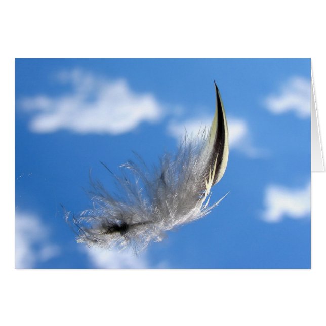 Vol solo (lumière comme plume) (Devant horizontal)