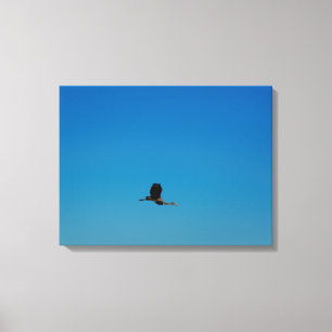 Volant Canvas Print