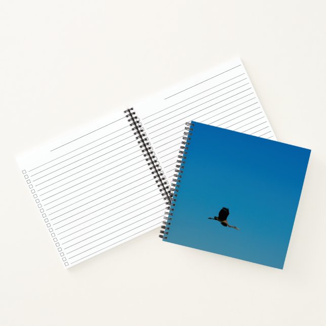 Volant Notebook (Inside)