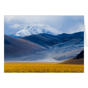 Volcan Incahuasi, Argentine