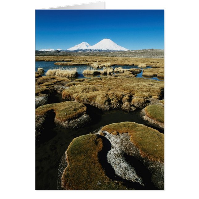 Volcan Payachalas (Devant)
