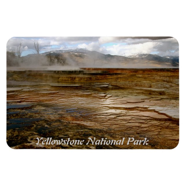 VOLCANIC ACTIVITY IN YELLOWSTONE NATIONAL PARK MAGNET (Horizontal)