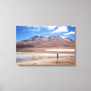 Volcano in an Altiplano landscape canvas Print