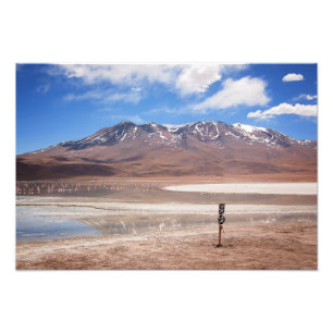 Volcano in an Altiplano landscape photo print