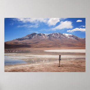 Volcano in an Altiplano landscape poster