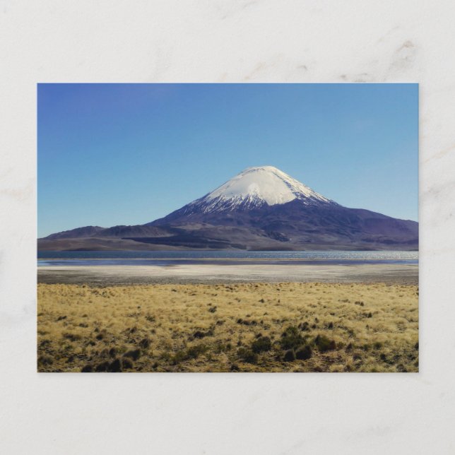 Volcano in Northern Chile Postcard (Front)