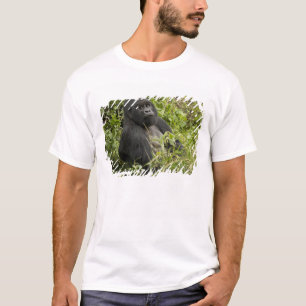 Volcanoes National Park, Mountain Gorilla T-Shirt
