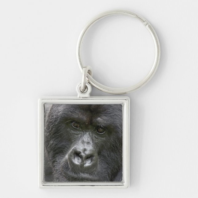 Volcanoes NP, Rwanda, Mountain Gorillas, Keychain (Front)