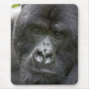 Volcanoes NP, Rwanda, Mountain Gorillas, Mouse Pad