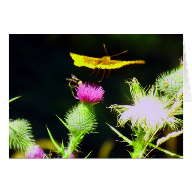 Voler (Devant Horizontal)