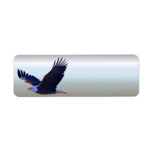 Voler d'Eagle chauve