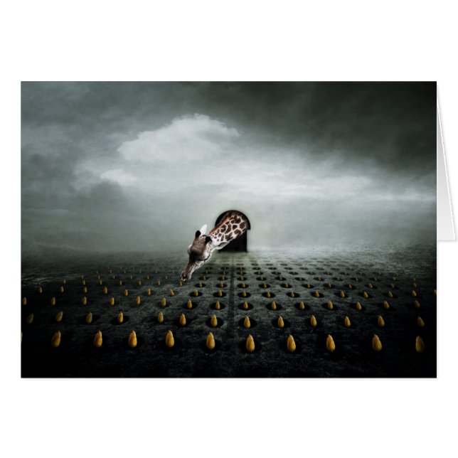 voleur de tulipe 2 2013 (Devant horizontal)