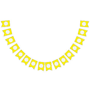 Volleyball Kids Birthday Party Sports Bunting Flags