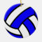 Volleyball Ornament