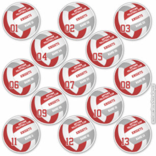 volleyball team members set of 13 red grey
