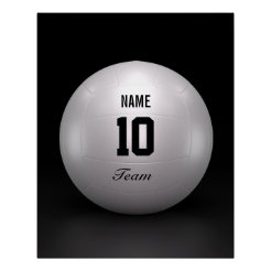 Volleyball Posters, Prints & Poster Printing | Zazzle CA