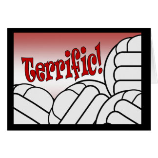 Volleyball - Terrific!